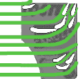 technical 13